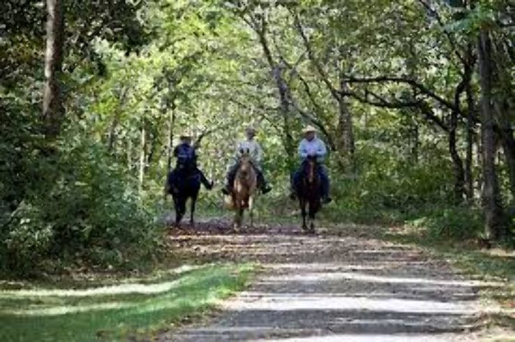 Bridle Trails State Park  Trip Packages